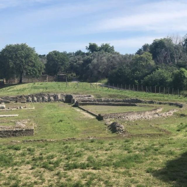 villa-deste-in-tivoli-private-tour-from-rome-2