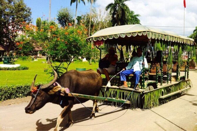 Villa Escudero: Cultural Show & Waterfall Buffet Experience - Exploring Villa Escudero: A Closer Look