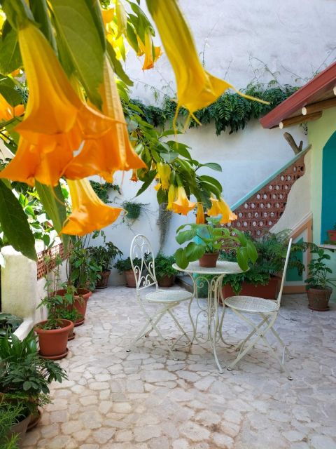 villacidro-sardinian-weaving-workshop-local-experience