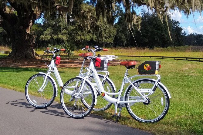 village-bicycle-rental-free-delivery-in-the-villages-florida