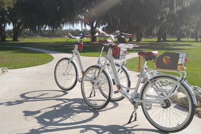 village-bicycle-rental-free-delivery-in-the-villages-florida