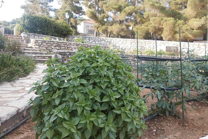 village-cooking-class-in-an-agritourism-unit-in-arcadia-greece