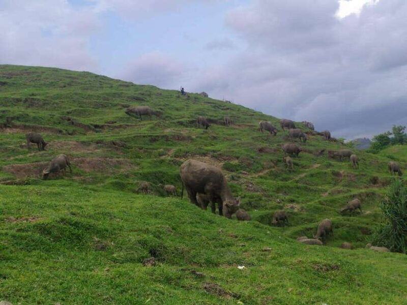 village-culture-and-nature-sasak-tour