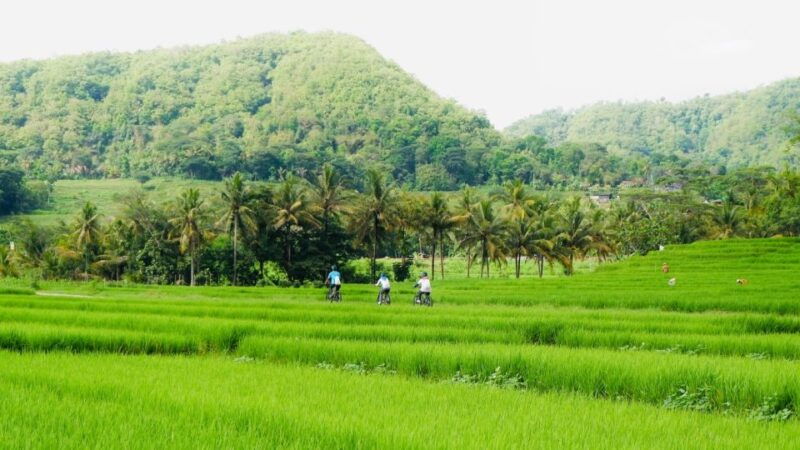 village-cycling-tour-in-nanggulan