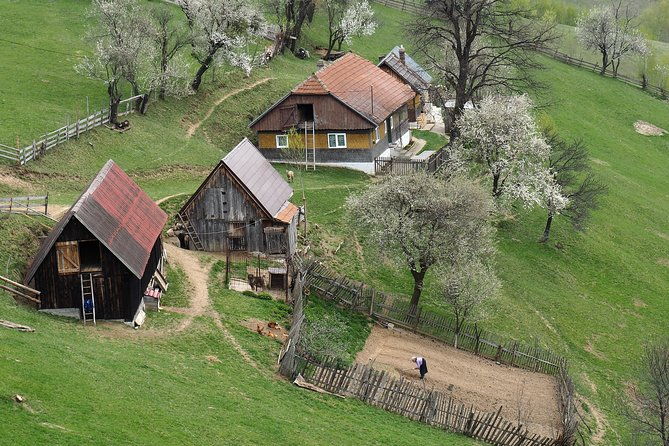 village-life-in-transylvanian-carpathian-mountains-8-days