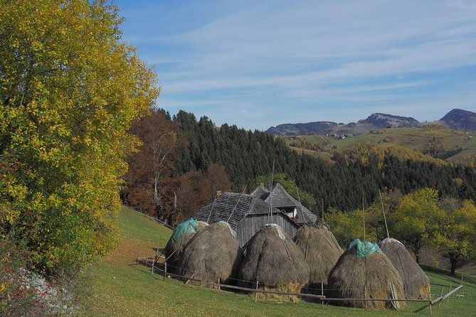 village-life-in-transylvanian-carpathian-mountains-8-days