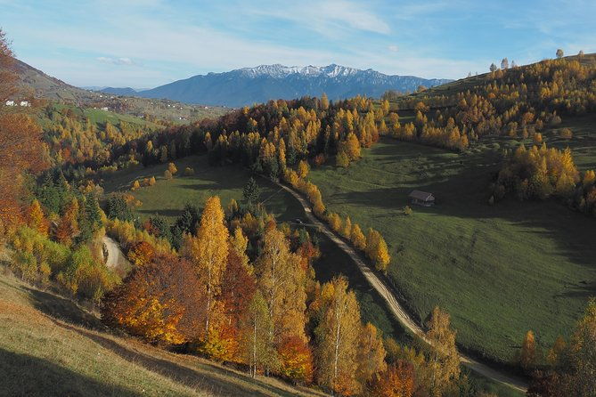 village-life-in-transylvanian-carpathian-mountains-8-days