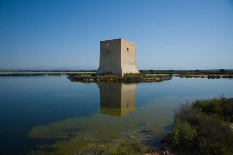 Village Street Market: Santa Pola - Introduction to the Santa Pola Day Tour