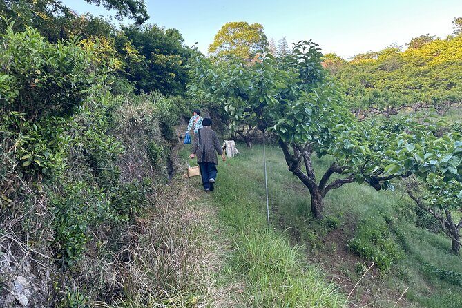 Village to village walk: Japan's oldest road, Yamanobe ancient trail (Private) - Frequently Asked Questions