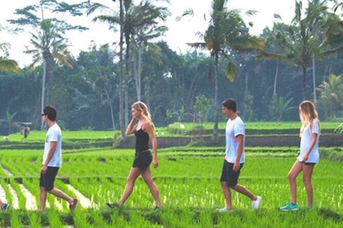 VILLAGE TOUR & RICE FIELDS TREKKING Jambangan Bali - The Value of This Tour