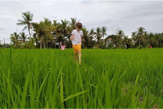 VILLAGE TOUR & RICE FIELDS TREKKING Jambangan Bali - FAQ