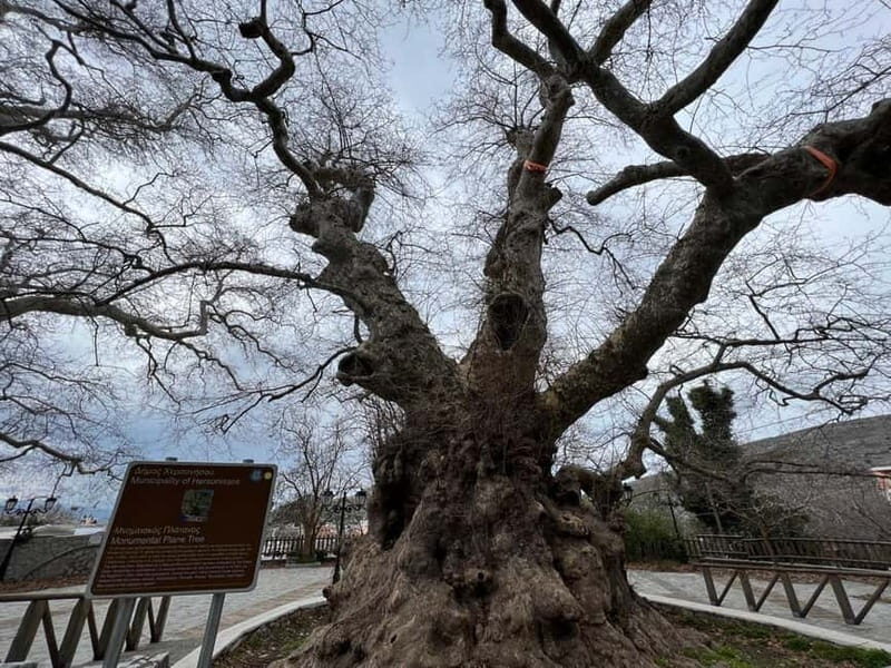 Village Vibes Tour of Heraklion Mainland and Lasithi Plateau - FAQ