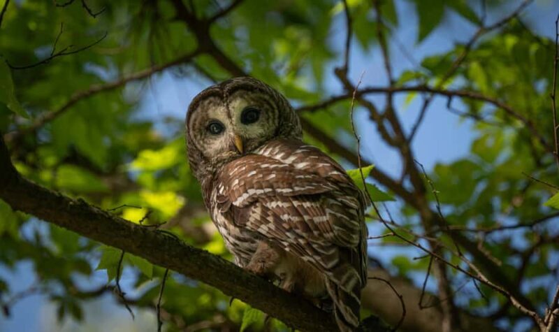 Village, Wild Life & Lake Visit Tour from Hambantota Port - Exploring the Itinerary and What to Expect