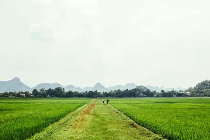 Village, Wildlife & Birds Watching Tour from Hambantota Port - FAQ