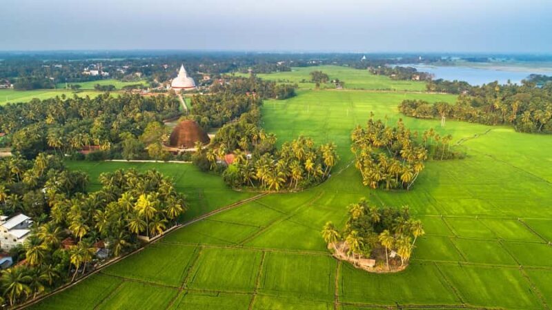 Village, Wildlife & Temple Visit Tour from Hambantota Port - Final Thoughts: Who Is This Tour Best For?