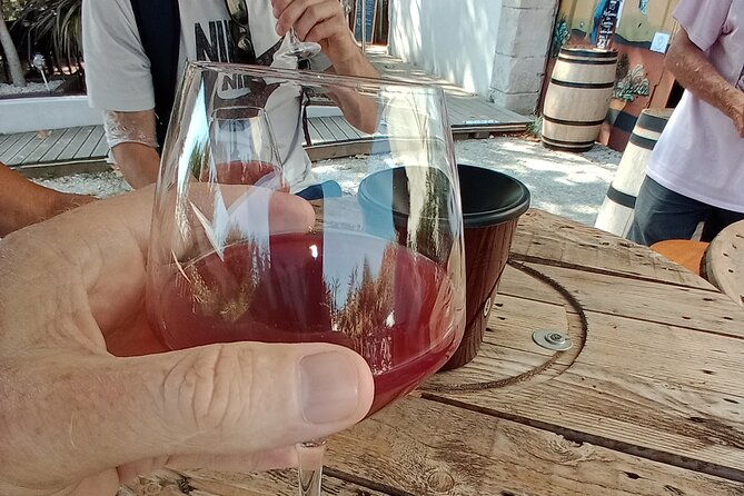 villages-and-wine-tasting-around-the-pic-saint-loup