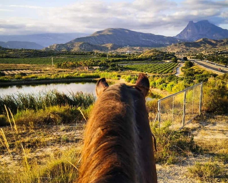Villajoyosa: Horseback Riding in the Mountains - An Authentic Mountain Ride Near Benidorm