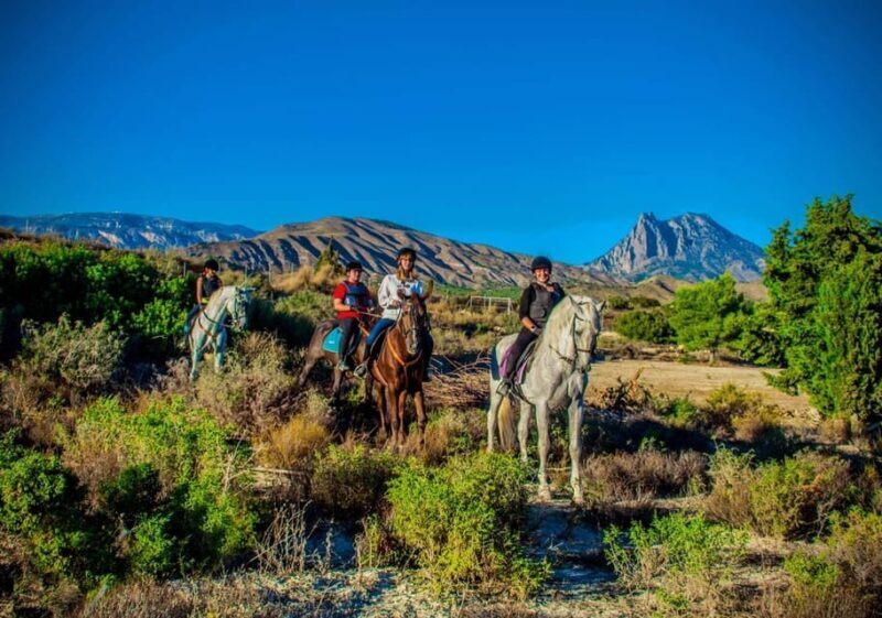 Villajoyosa: Horseback Riding in the Mountains - Why This Tour Is Worth Considering