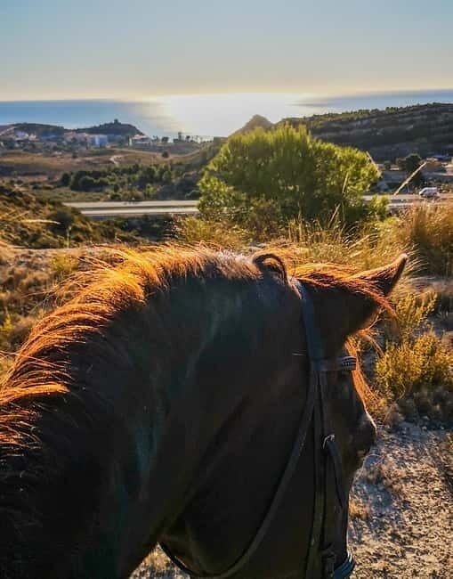 Villajoyosa: Horseback Riding in the Mountains - FAQ