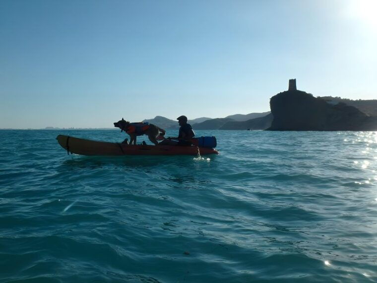 villajoyosa-kayaking-with-the-mans-best-friend-your-dog