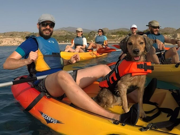 villajoyosa-kayaking-with-the-mans-best-friend-your-dog