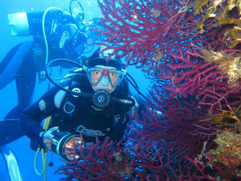 Villasimius: Capo Carbonara Marvellous Guided Dive - Practical Details & Considerations