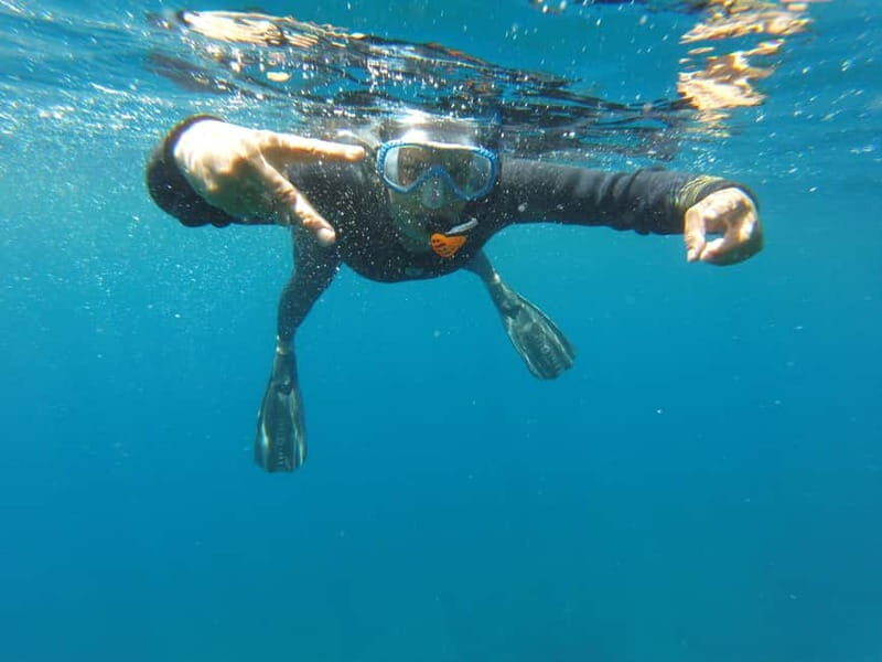 Villefranche-sur-Mer: guided snorkeling to discover the aquatic world - The Full Experience: What to Expect from Start to Finish