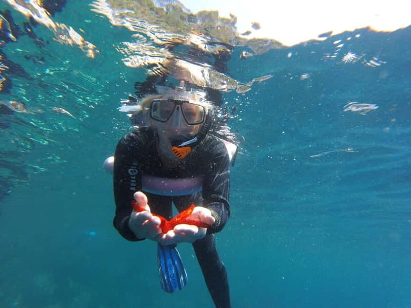 Villefranche-sur-Mer / Nice: snorkeling in privacy on a private boat - Breaking Down the Itinerary