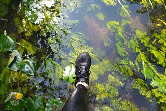 vilnele-river-walking-tour-and-uzupis-experience
