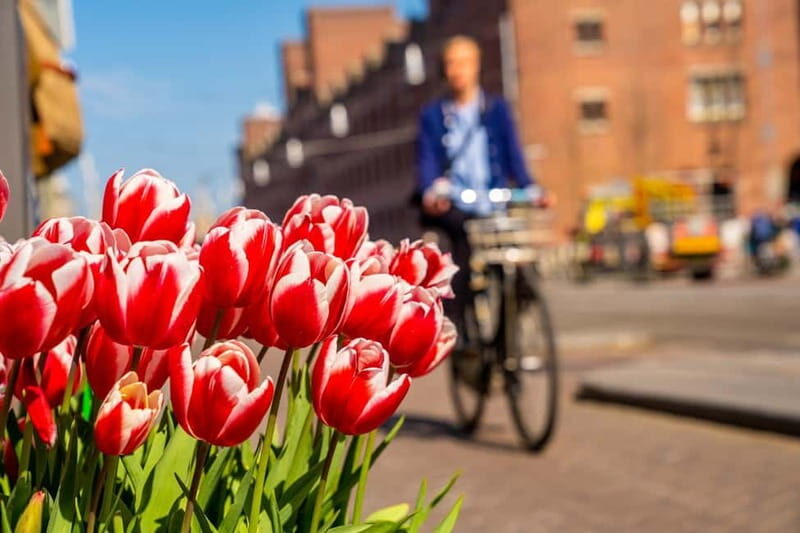 Vilnius: Capture the most Photogenic Spots with a Local - Discovering Vilnius Through a Local Lens