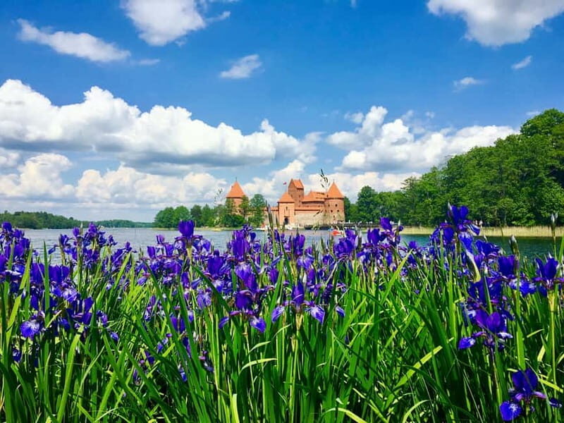 Vilnius: Half-Day Sightseeing Tour to Trakai - What’s Included and How to Maximize Value  