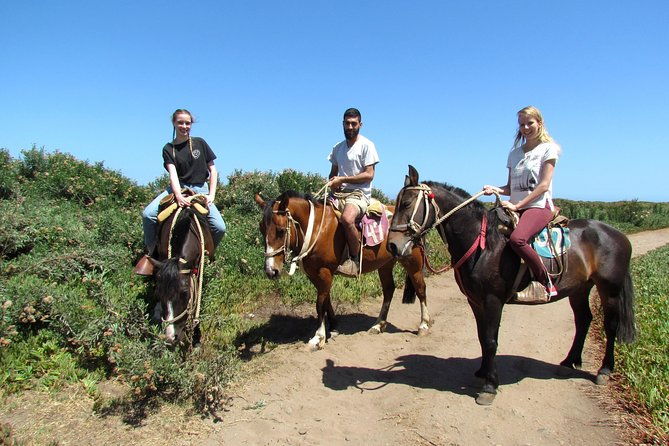 vina-del-mar-and-valparaiso-private-tour-including-horseriding