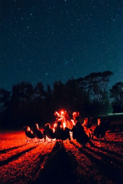 Vincentia: Jervis Bay Beach Stargazing with an Expert - Who Is This Tour Best For?