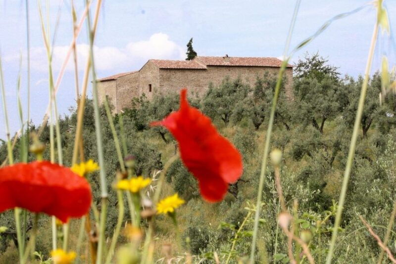 vinci-entrance-to-the-leonardos-birthplace