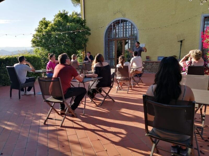 vinci-homemade-dinner-and-oil-tasting-tour-in-a-tuscan-farm