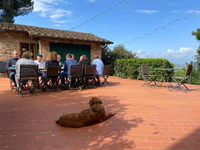 vinci-homemade-dinner-and-oil-tasting-tour-in-a-tuscan-farm