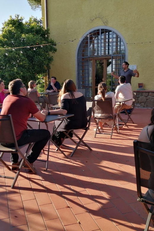 vinci-homemade-dinner-and-oil-tasting-tour-in-a-tuscan-farm
