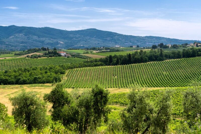 vinci-the-footsteps-of-leonardo-and-wine-tasting-tour