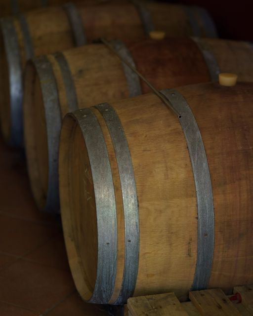 vinci-wine-experience-among-the-tuscan-hills