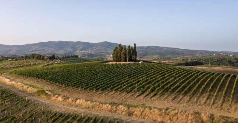 vinci-wine-experience-among-the-tuscan-hills