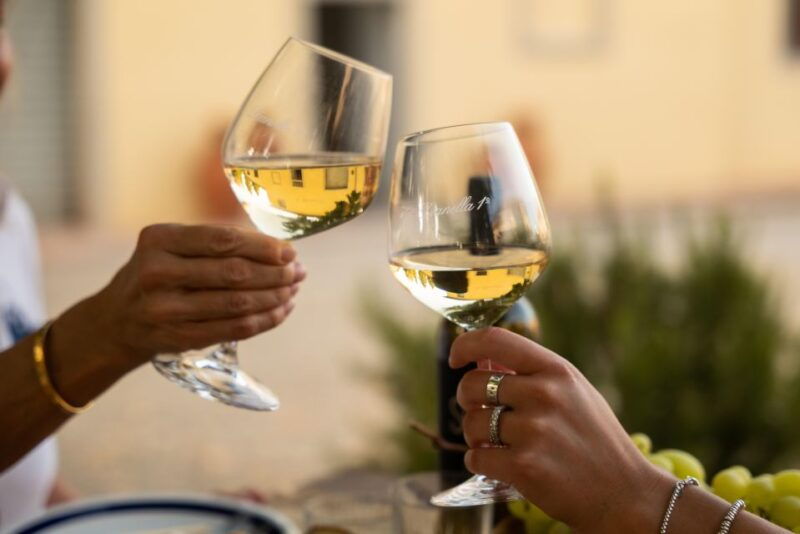 vinci-wine-experience-among-the-tuscan-hills