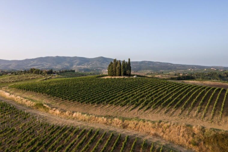 vinci-wine-experience-among-the-tuscan-hills