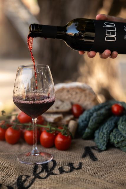 vinci-wine-experience-among-the-tuscan-hills