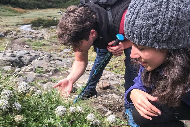 vinciguerra-glacier-small-group-trek