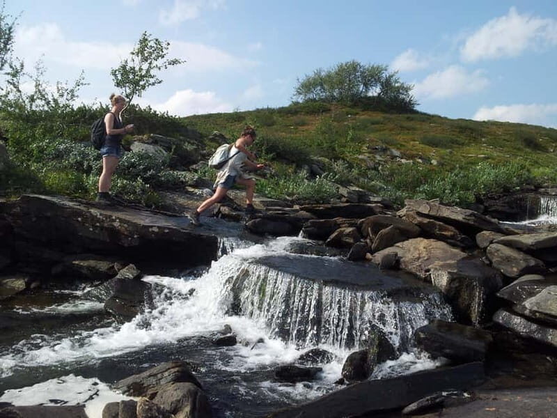 Vindelfjäll nature reserve: A walk through reindeer country - Key Points