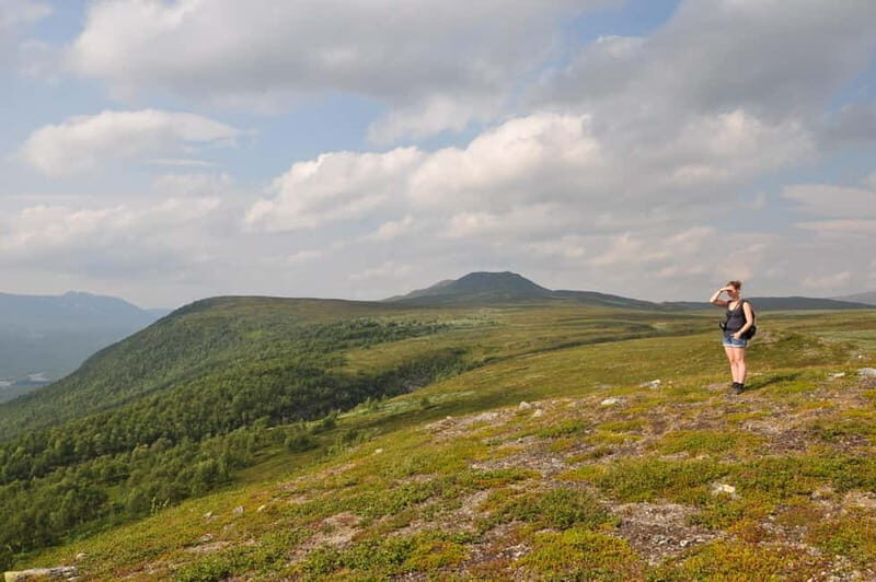 Vindelfjäll nature reserve: A walk through reindeer country - An In-Depth Look at Vindelfjäll’s Day Trip
