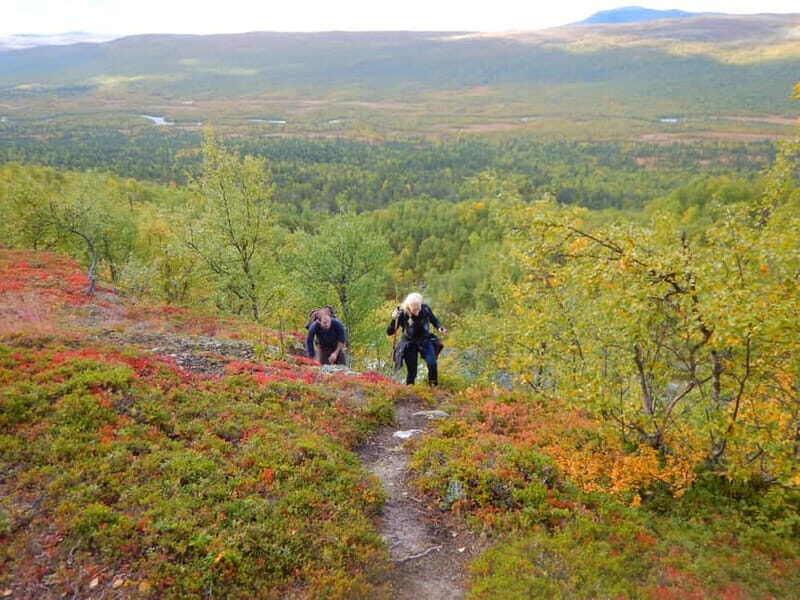 Vindelfjäll nature reserve: A walk through reindeer country - Who Should Consider This Tour?