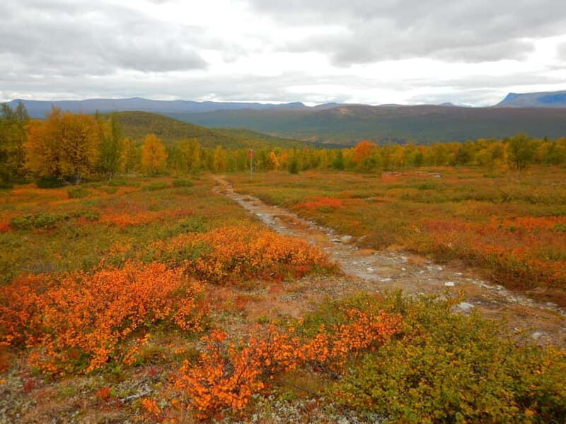 Vindelfjäll nature reserve: A walk through reindeer country - Final Thoughts: Is It Worth It?