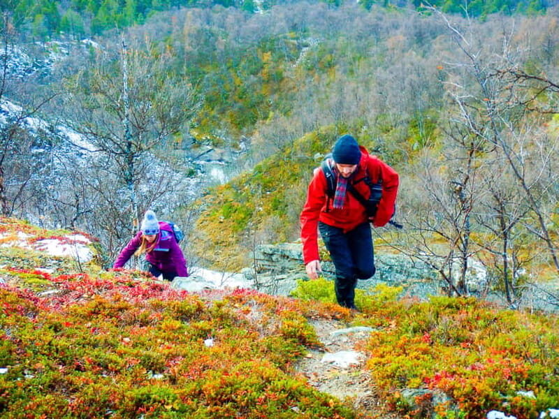 Vindelfjäll nature reserve: A walk through reindeer country - FAQs
