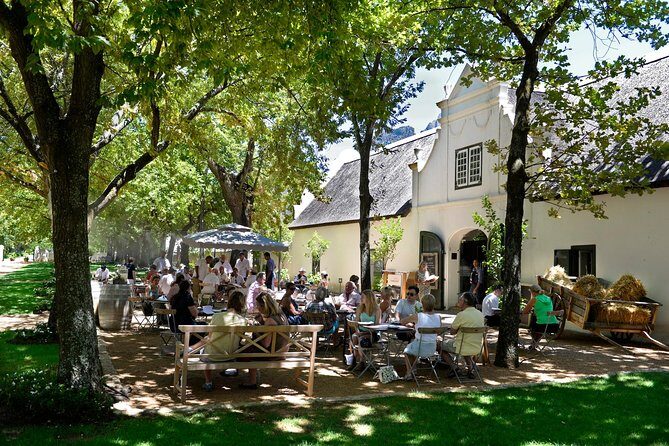 Vine Hopper: Hop-On Hop-Off Wine Tour - Eastern Route - Who Is This Tour Best For?